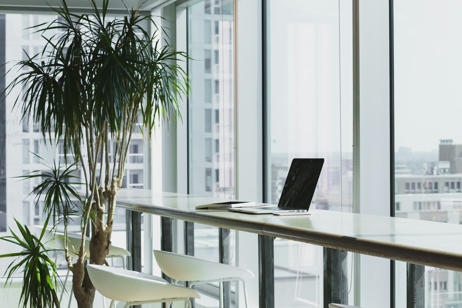 Modern office environment of a growing business